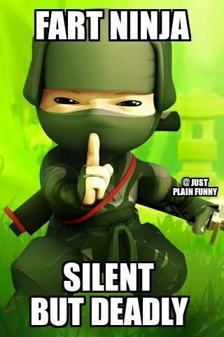 Fart Ninja Silent But Deadly Funny Ninja Meme Picture