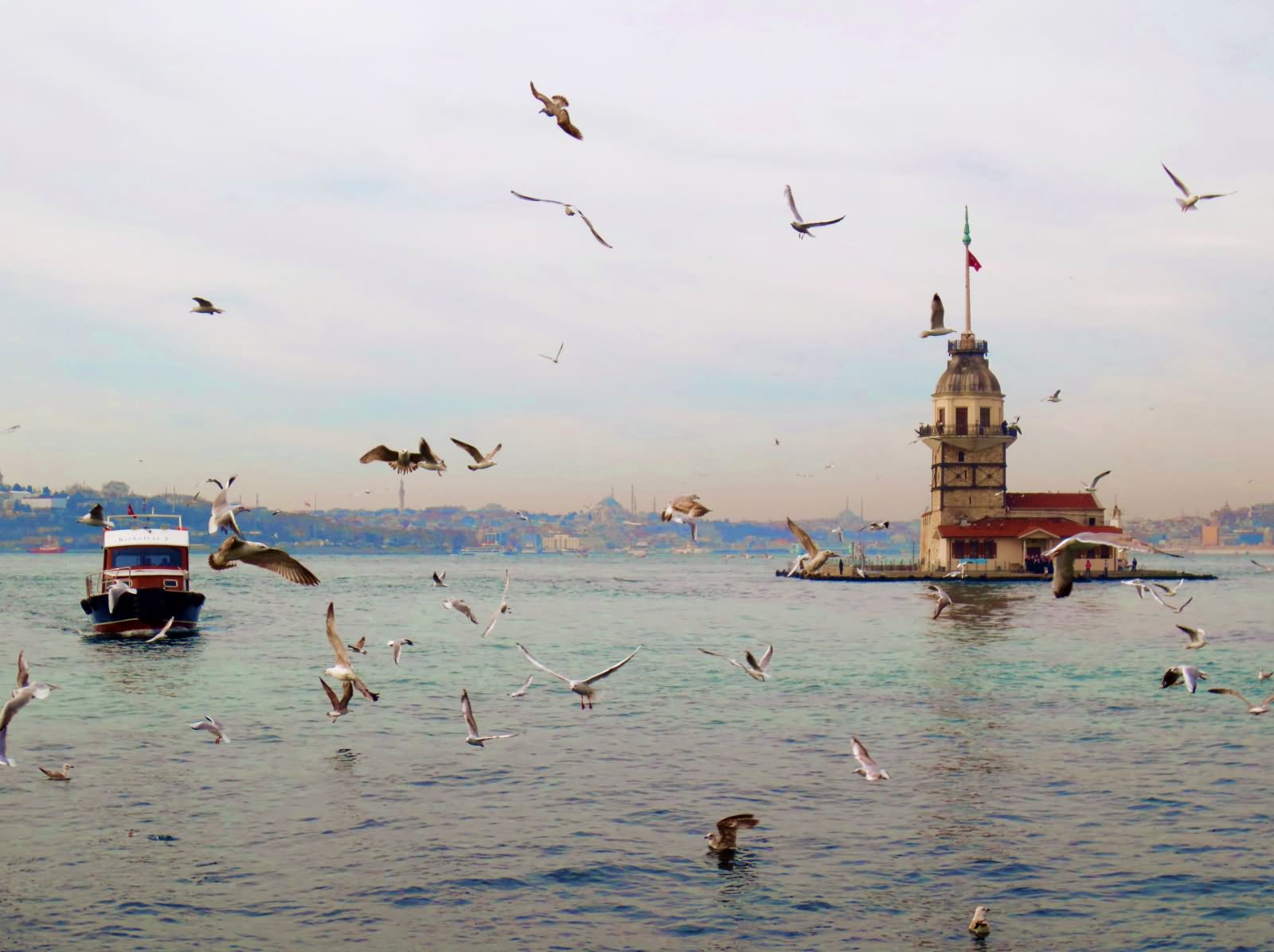 Flying Birds Near The Maiden's Tower