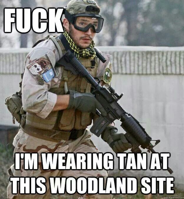 Fuck I Am Wearing Tan At This Woodland Site Funny Camouflage Meme Image