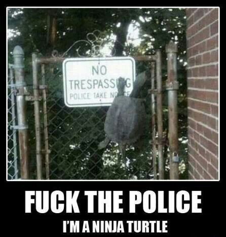 Fuck The Police I Am Ninja Turtle Funny Ninja Meme Picture