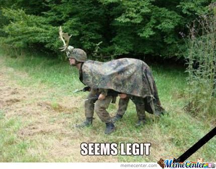 Funny Camouflage Meme Seems Legit Photo