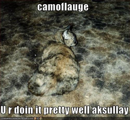 Funny Camouflage Meme U R Doin It Pretty Well Aksullay Picture