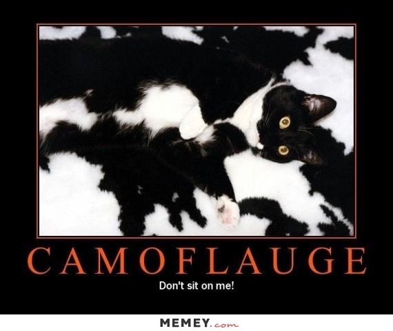 Funny Cat Camouflage Meme Picture