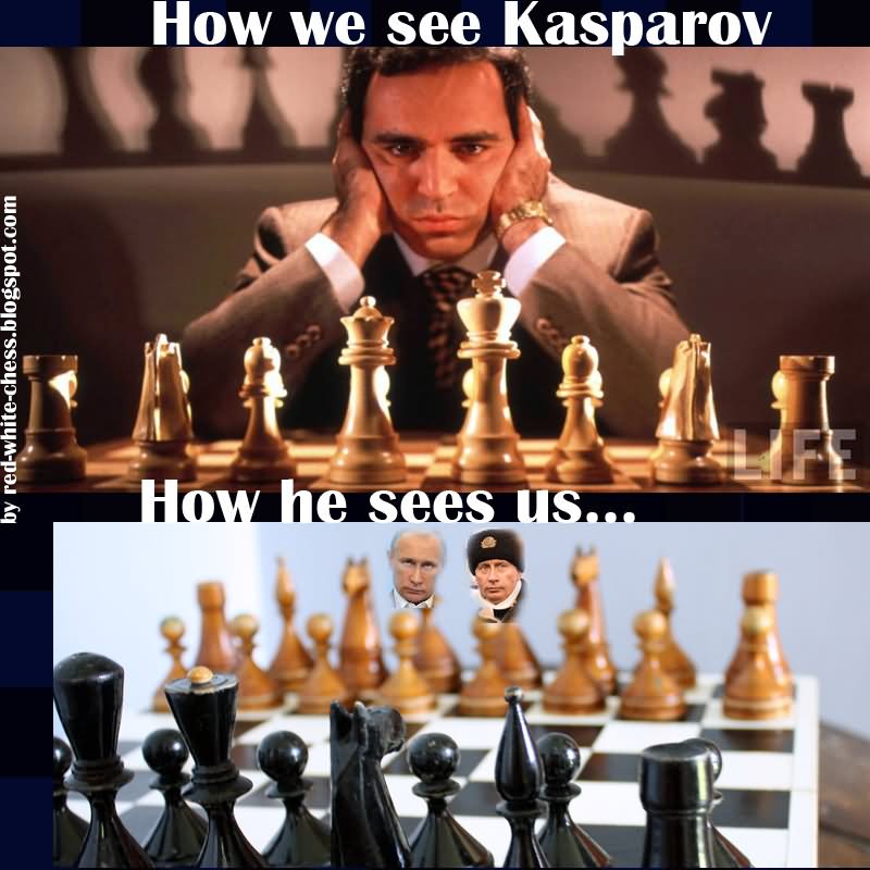 Funny Chess Meme How We See Kasparov How He Sees Us Picture