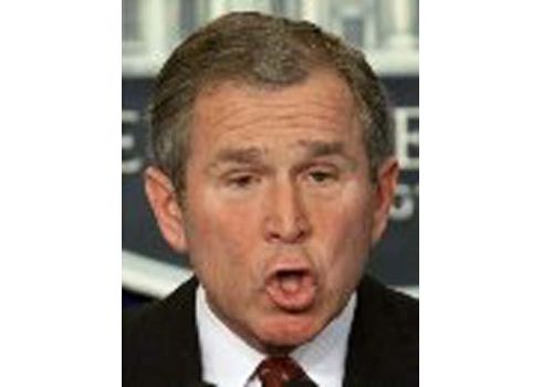 Funny Pouting Face George Bush Photo