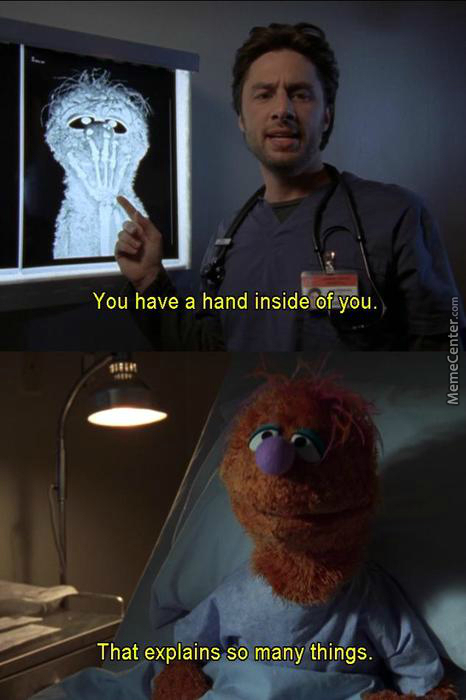 Funny Puppet Meme You Have A Hand Inside Of You Picture