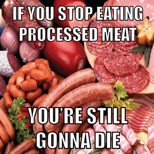 Funny Stop Meme If You Stop Eating Processed Meat You Are Still Gonna Die Photo