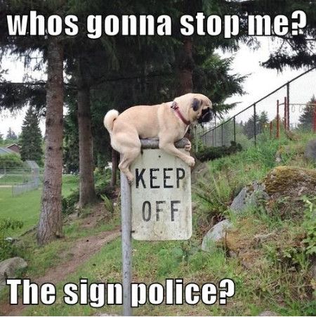 Funny Stop Meme Whos Gonna Stop Me The Sign Police Picture
