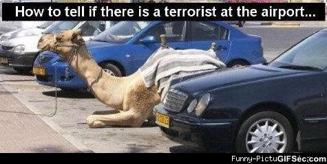 Funny Terrorist Meme How To Tell If There Is Terrorist At The Airport Image