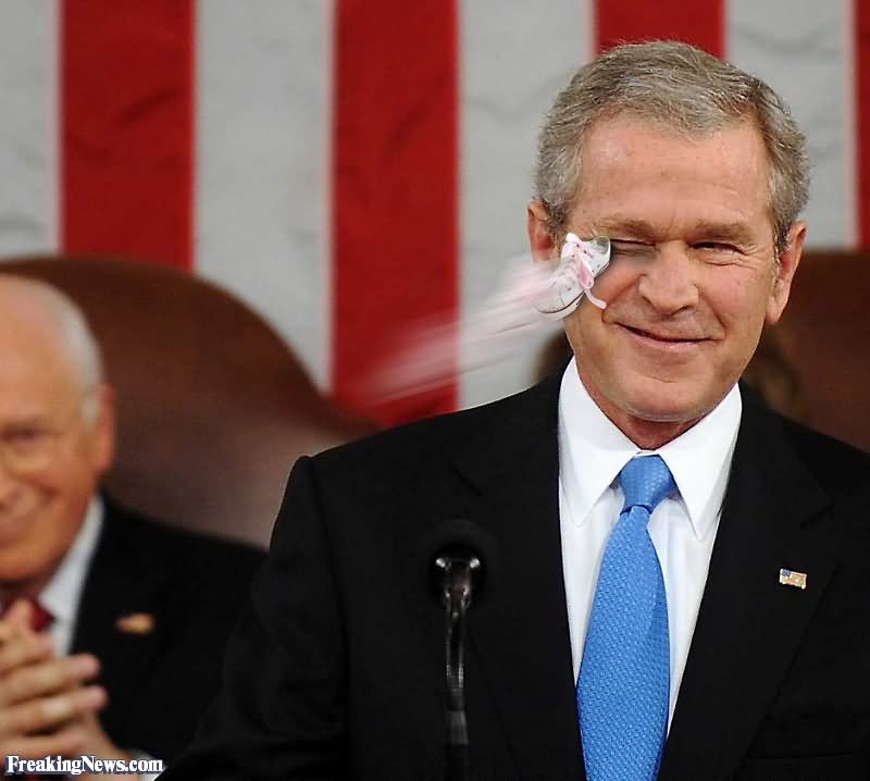 Funny Tiny Shoe Thrown At George Bush Face Picture
