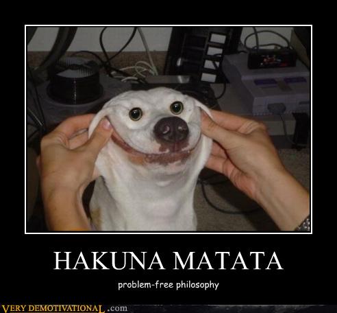 Funny Wtf Meme Hakuna Matata Picture