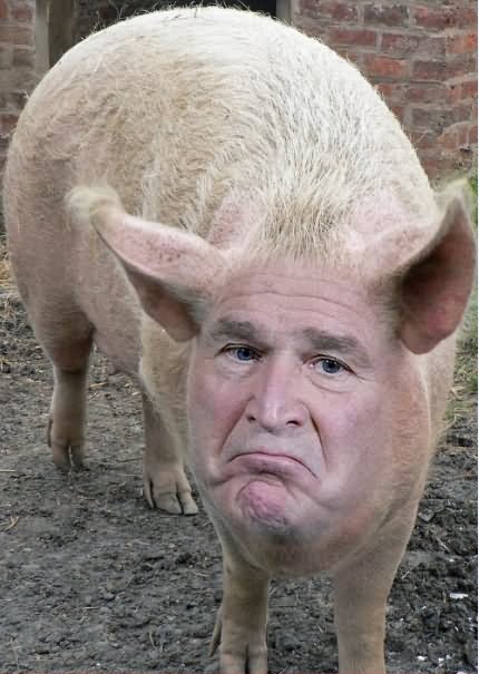George Bush As Pig Face Funny Graphic Picture