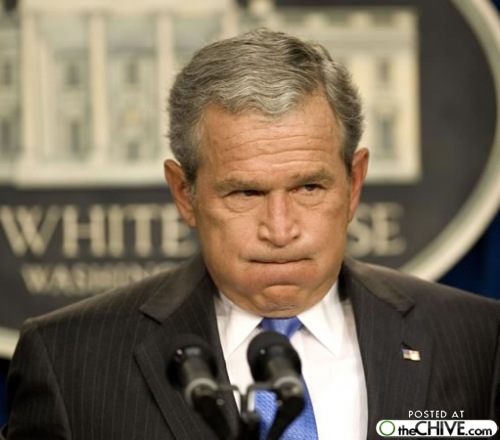 George Bush With Fluffy Face Funny Picture