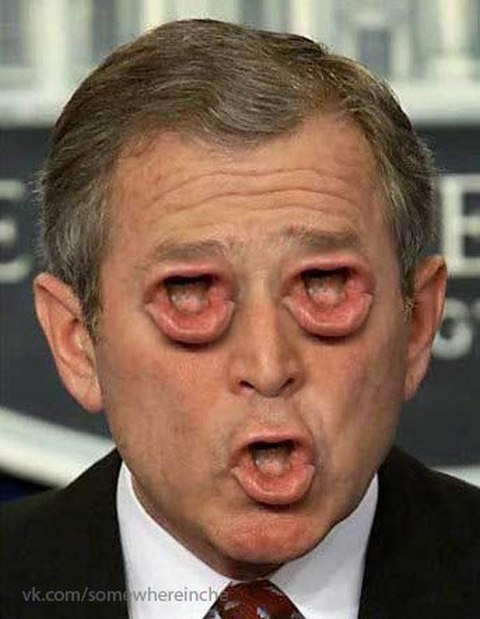 George Bush With Pouting Mouth Eyes Funny Photoshop Image