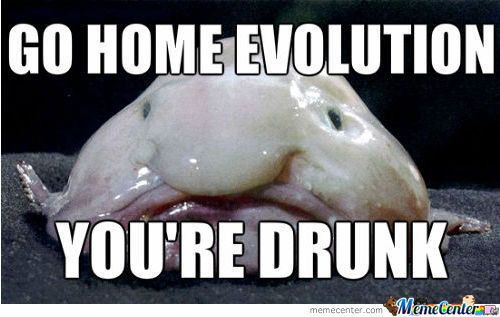 Go Home Evolution You Are Drunk Funny Wtf Meme Image