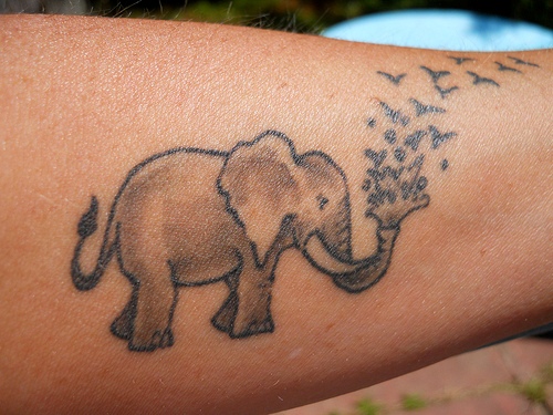 Grey Ink Indian Elephant Tattoo Design For Forearm