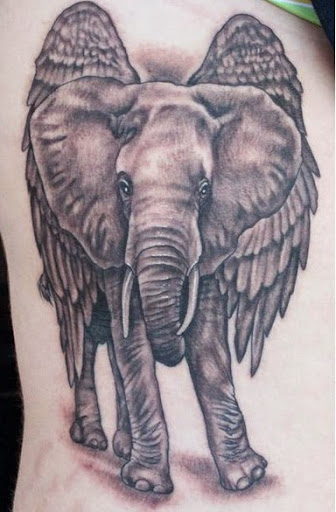 Grey Ink Indian Elephant With Wings Tattoo Design For Side Rib