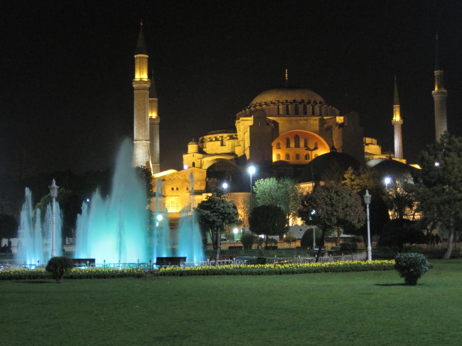 Hagia Sophia In Istanbul View From Garden At Night