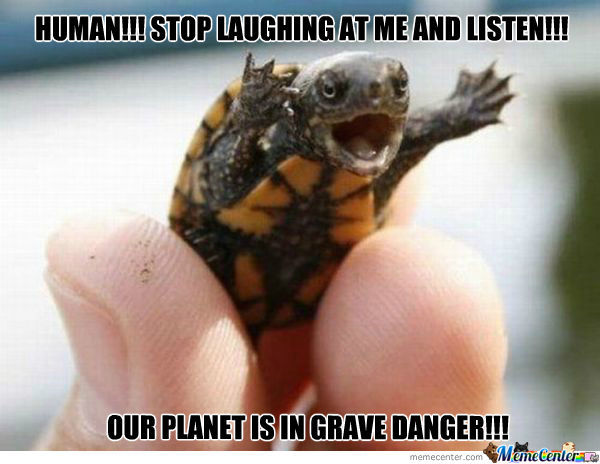 Human Stop Laughing At Me And Listen Funny Ninja Meme Image