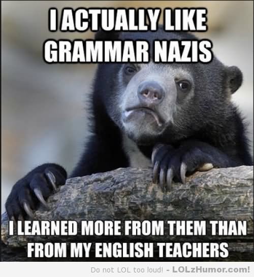I Actually Like Grammar Nazies Funny Shit Meme Image