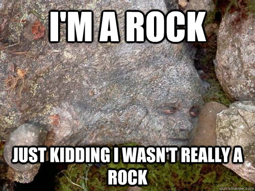 I Am A Rock Just Kidding I Wasn't Really A Rock Funny Camouflage Meme Image