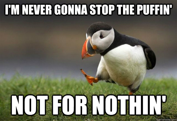 I Am Never Gonna Stop The Puffin Not For Nothin Funny Stop Meme Image