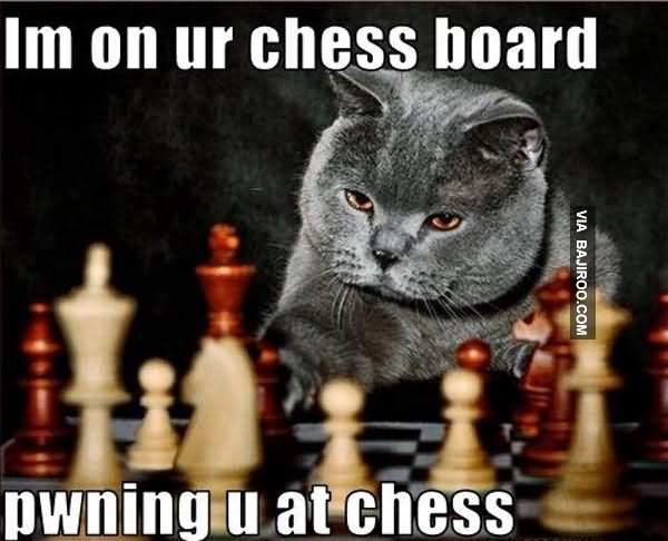 I Am On Ur Chess Board Pwning U At Chess Funny Meme Picture
