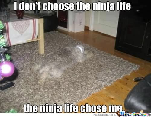 I Don't Choose The Ninja Life Funny Ninja Meme Picture