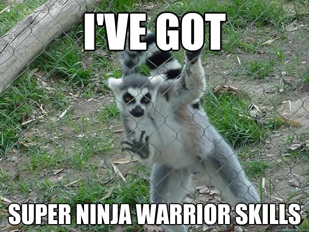 I Have Got Super Ninja Warrior Skills Funny Meme Picture