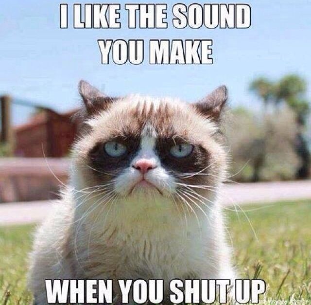 I Like The Sound You Make When You Shut Up Funny Stop Meme Image