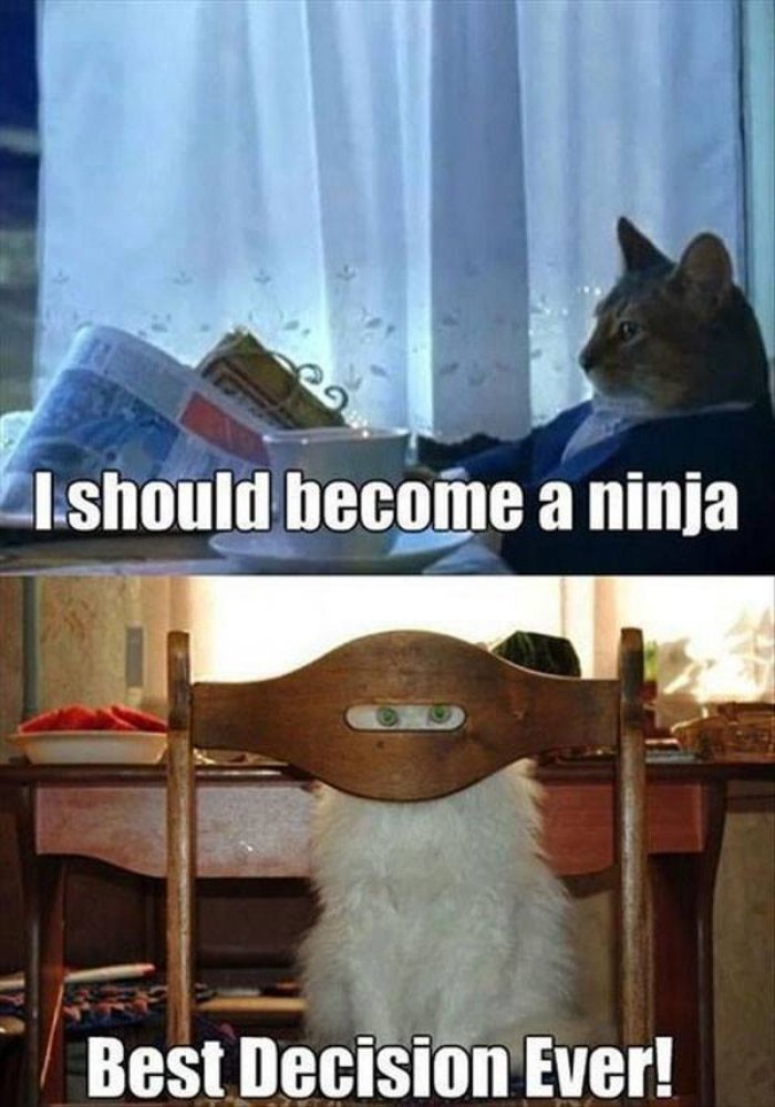 I Should Become A Ninja Funny Ninja Meme Picture