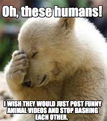 I Wish They Would Just Post Funny Animal Videos And Stop Bashing Each Other Funny Stop Meme Image