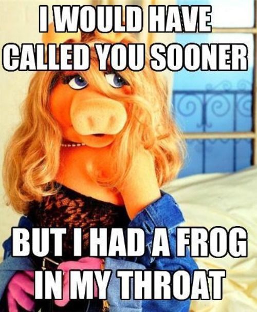 I Would Have Called You Sooner But I Had A Frog In My Throat Funny Puppet Meme Picture