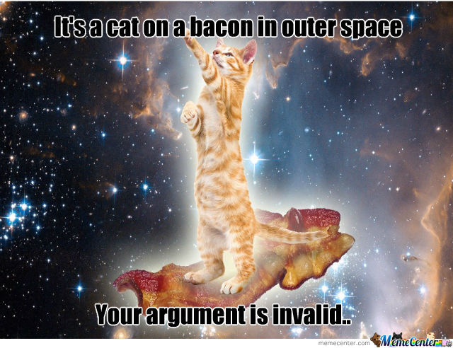 It's A Cat On A Bacon In Outer Space Your Argument Is Invalid Funny Space Meme Picture