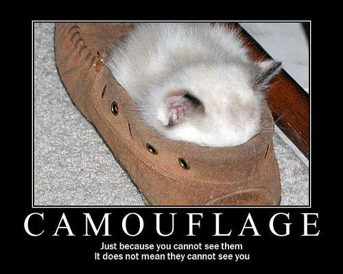 Just Because You Cannot See Them It Does Not Mean They Cannot See You Funny Camouflage Meme Image