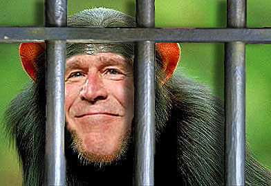 Monkey With George Bush Face Funny Photoshop Image