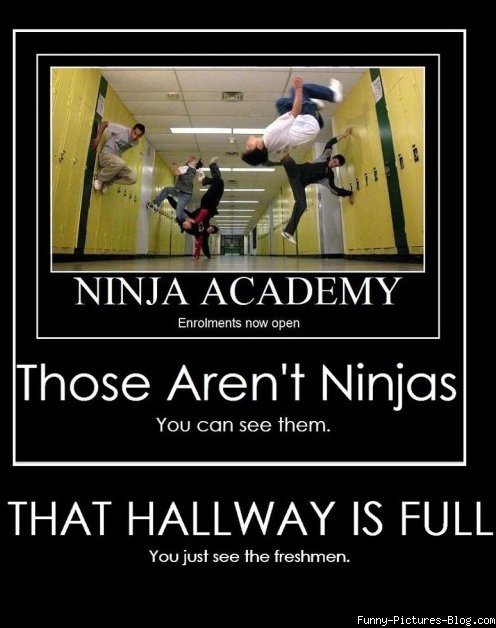 31 Most Funniest Ninja Meme Photos And Images Of All The Time