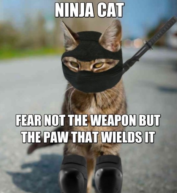 Ninja Cat Fear Not The Weapon But The Paw That Wields It Funny Ninja Meme Image