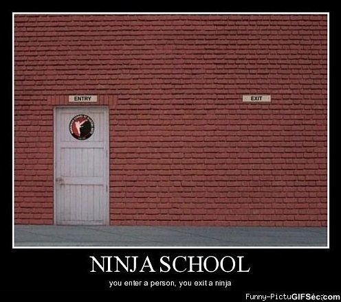 Ninja School You Enter A Person You Exit A Ninja Funny Image