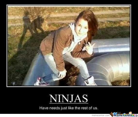 Ninjas Have Needs Just Like The Rest Of Us Funny Meme Image
