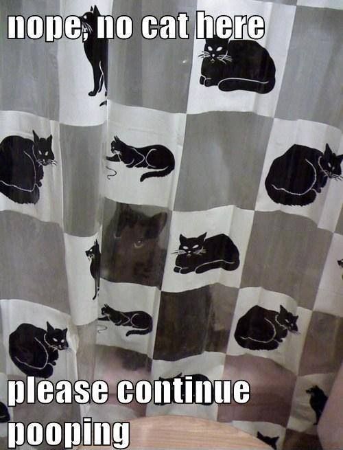 Nope No Cat Here Please Continue Pooping Funny Camouflage Meme Image