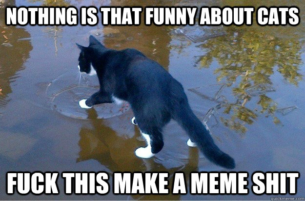Nothing Is That Funny About Cats Fuck This Make A Meme Shit Funny Shit Meme Image
