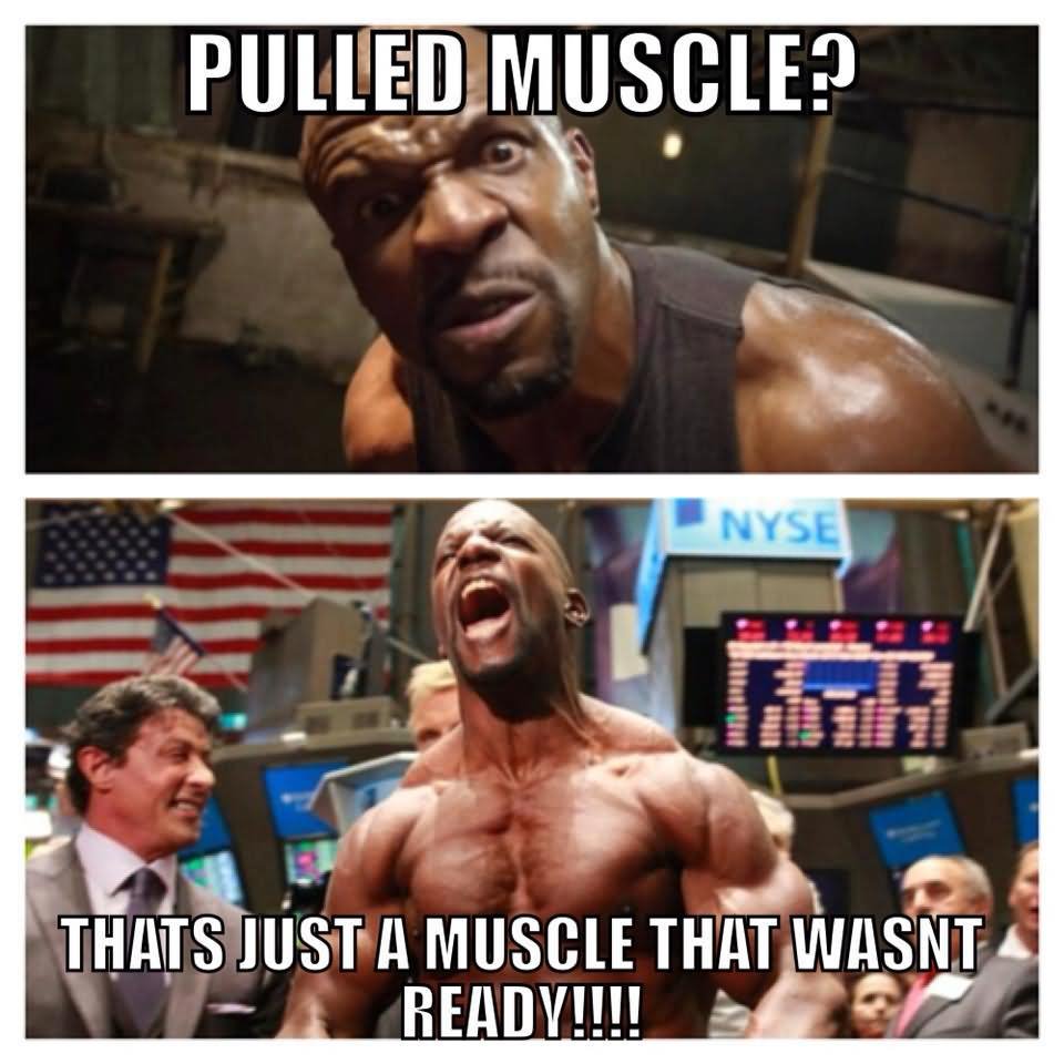 Pulled Muscle That's Just A Muscle That Wasnt Ready Funny Muscle Meme Picture