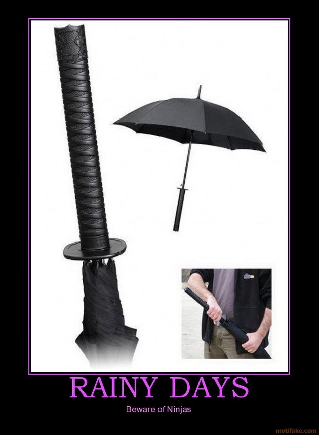 Rainy Days Beware Of Ninjas Funny Meme Image
