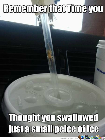 Remember That Time You Thought You Swallowed Just A Small Piece Of Ice Funny Wtf Meme Image