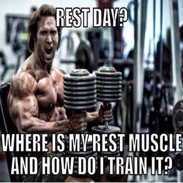 Rest Day Where Is My Rest Muscle And How Do I Train It Funny Muscle Meme Image