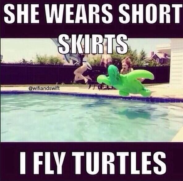 She Wears Short Skirts I Fly Turtles Funny Ninja Meme Picture