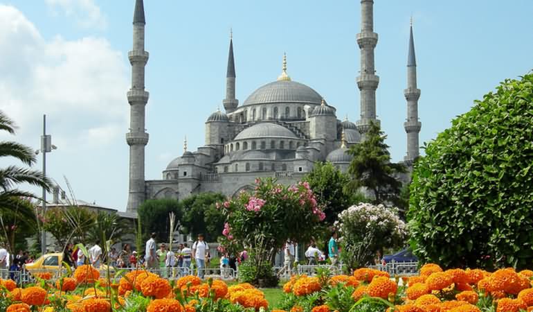 Side View Of The Blue Mosque From Garden In Istanbul