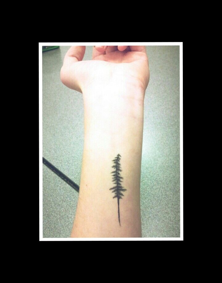 Simple Tree Tattoo On Left Forearm