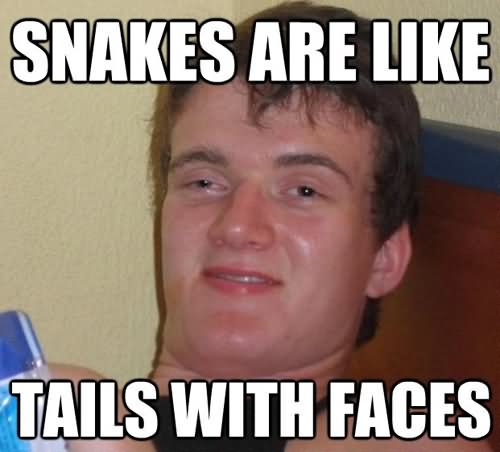 Snakes Are Like Tails With Faces Funny Wtf Meme Picture